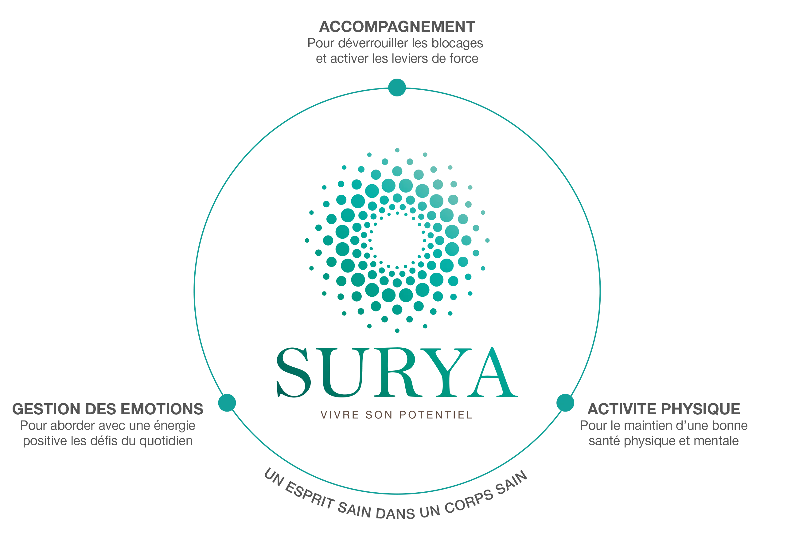 schéma surya pages prestations particuliers et professionnels